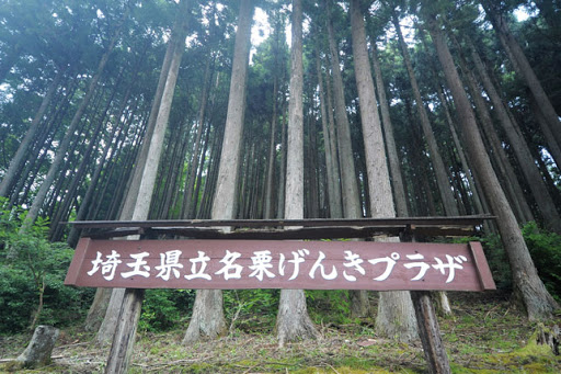http://hoshinotakushi.com/contact.html