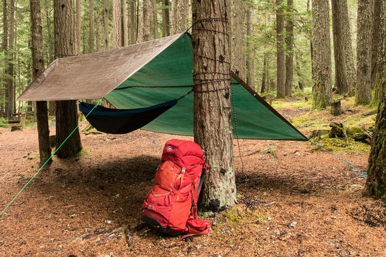 https://www.rei.com/blog/camp/tarp-tips-quick-shelter-for-rain-wind-or-saving-weight?cm_mmc=sm_pin_blog&crlt.pid=camp.o6vqZW46x6cV