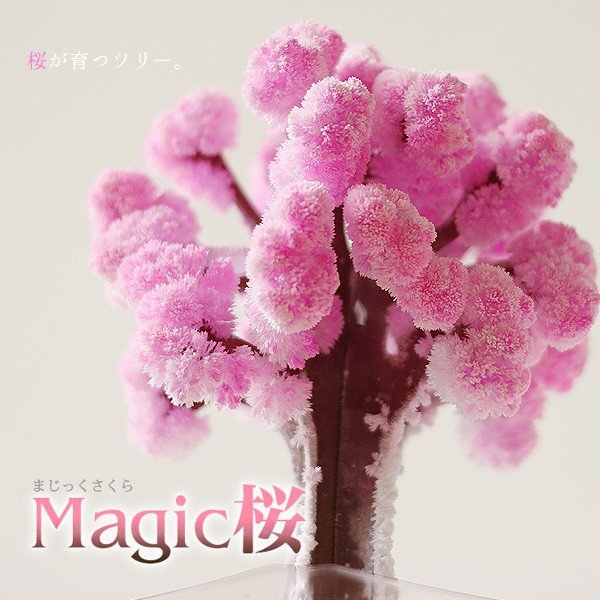 https://store.shopping.yahoo.co.jp/fci/12827.html