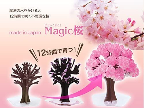 https://www.amazon.co.jp/Magic%E6%A1%9C-%E3%83%9E%E3%82%B8%E3%83%83%E3%82%AF%E6%A1%9C-12%E6%99%82%E9%96%93%E3%81%A7%E6%9C%AC%E7%89%A9%E3%81%AE%E6%A1%9C%E3%81%AE%E6%A7%98%E3%81%AB%E3%83%A2%E3%82%B3%E3%83%A2%E3%82%B3%E8%82%B2%E3%81%A4%E3%83%9E%E3%82%B8%E3%83%83%E3%82%AF%E6%A1%9C-%E6%97%A5%E6%9C%AC%E8%A3%BD/dp/B00T8UC3EE