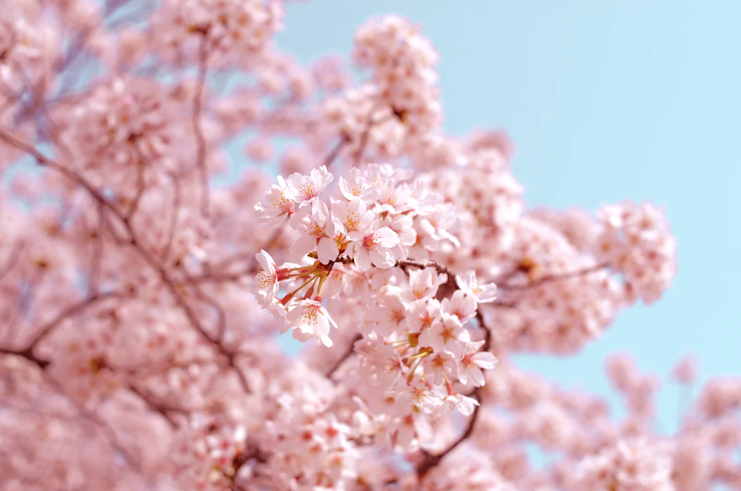 https://unsplash.com/photos/McsNra2VRQQ